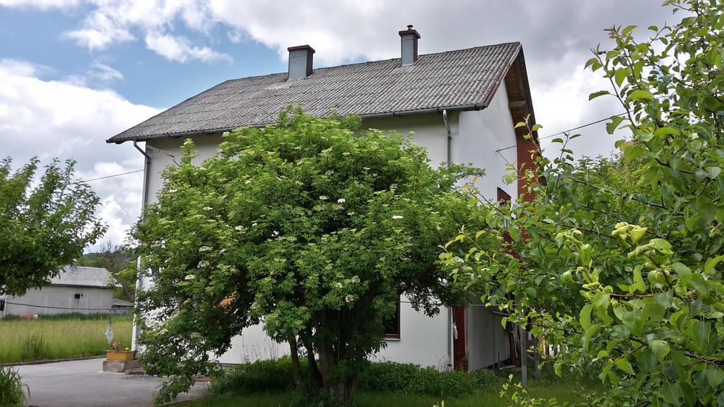 科雷尼察 House Petkovic酒店 外观 照片